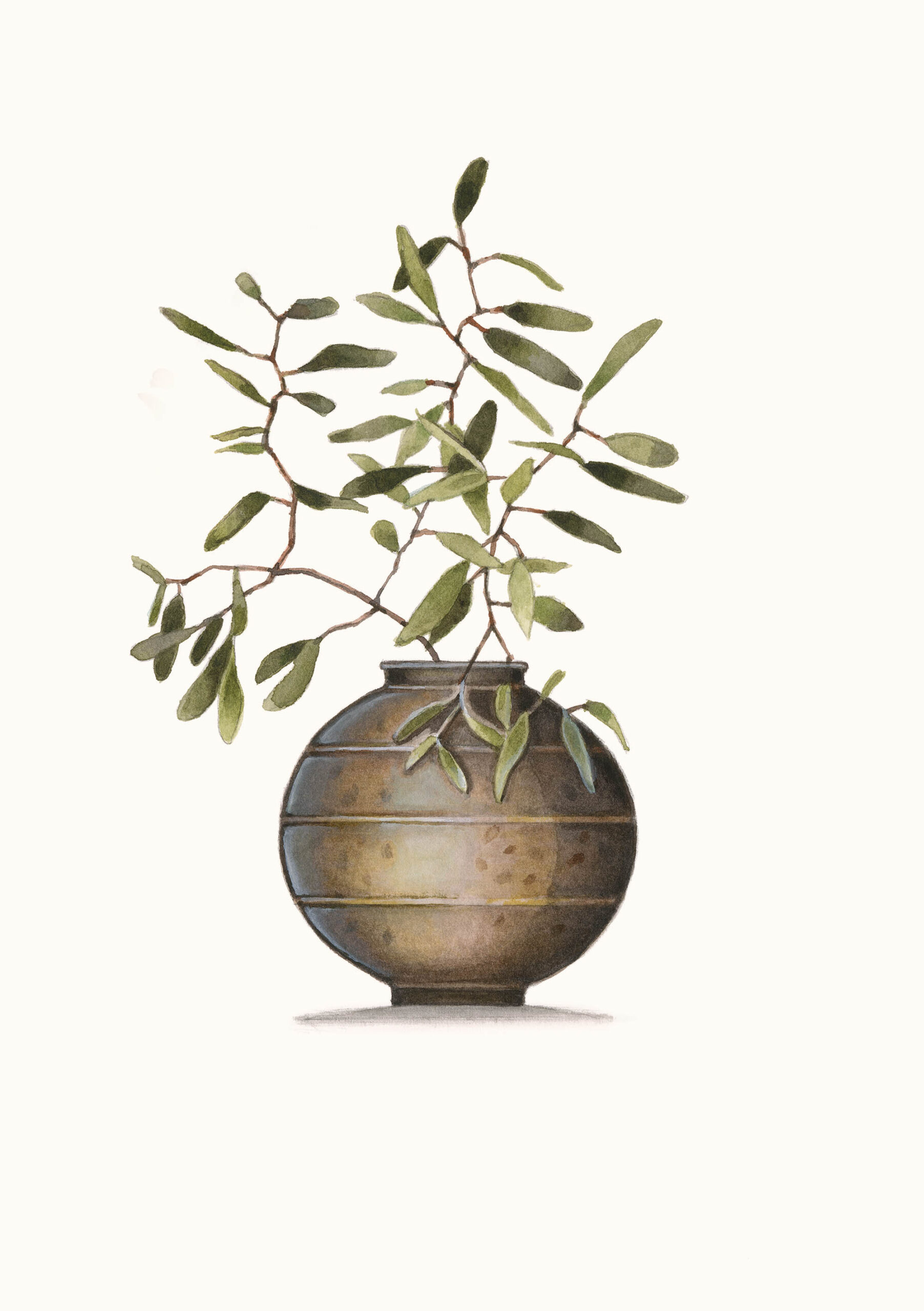 Dappled Leaves, watercolour Illustration by Annie Moag Illustrates